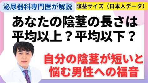 15cm でかい|ヒトの陰茎のサイズ